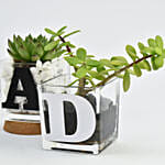 Trio Of Plants For Dad