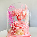 Vday Pink Forever Roses in Dome