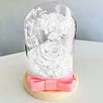 Vday White Forever Roses in Dome