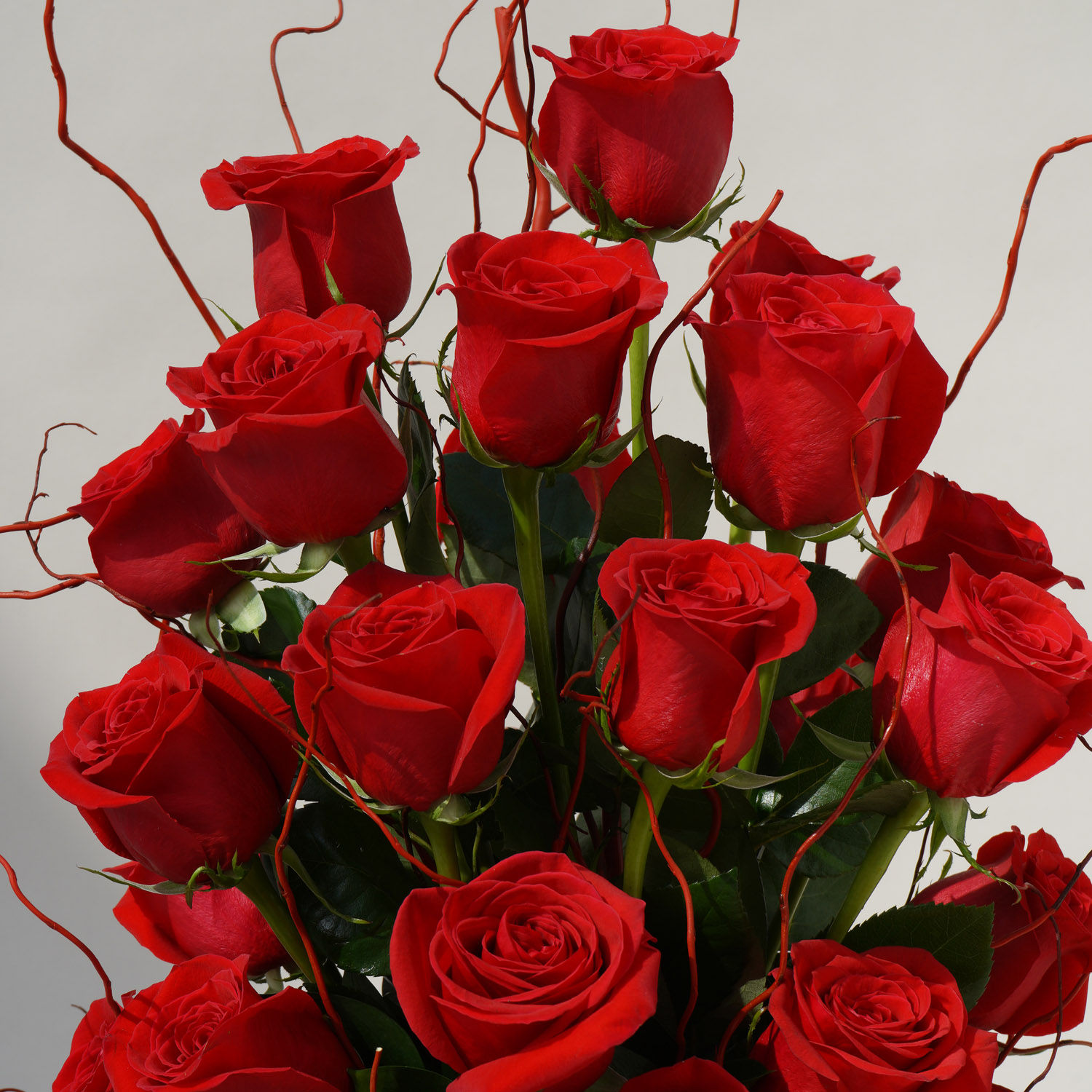 Online 22 Red Roses In A Round Fish Bowl For Valentines Gift Delivery