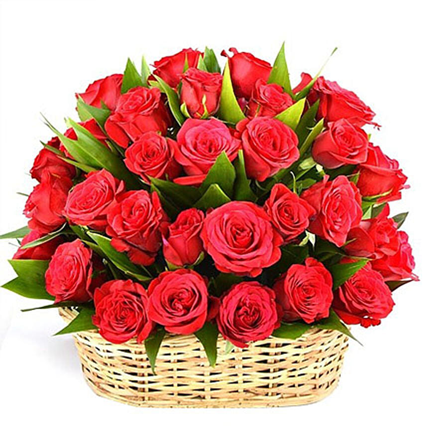 The Love Of Roses