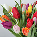 Blooming Mixed Tulips