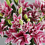 Elegant Pink Oriental Double Lilies