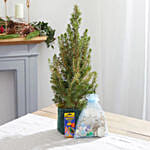 Letterbox Deck The Halls