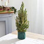 Letterbox Deck The Halls