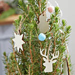 Letterbox Deck The Halls