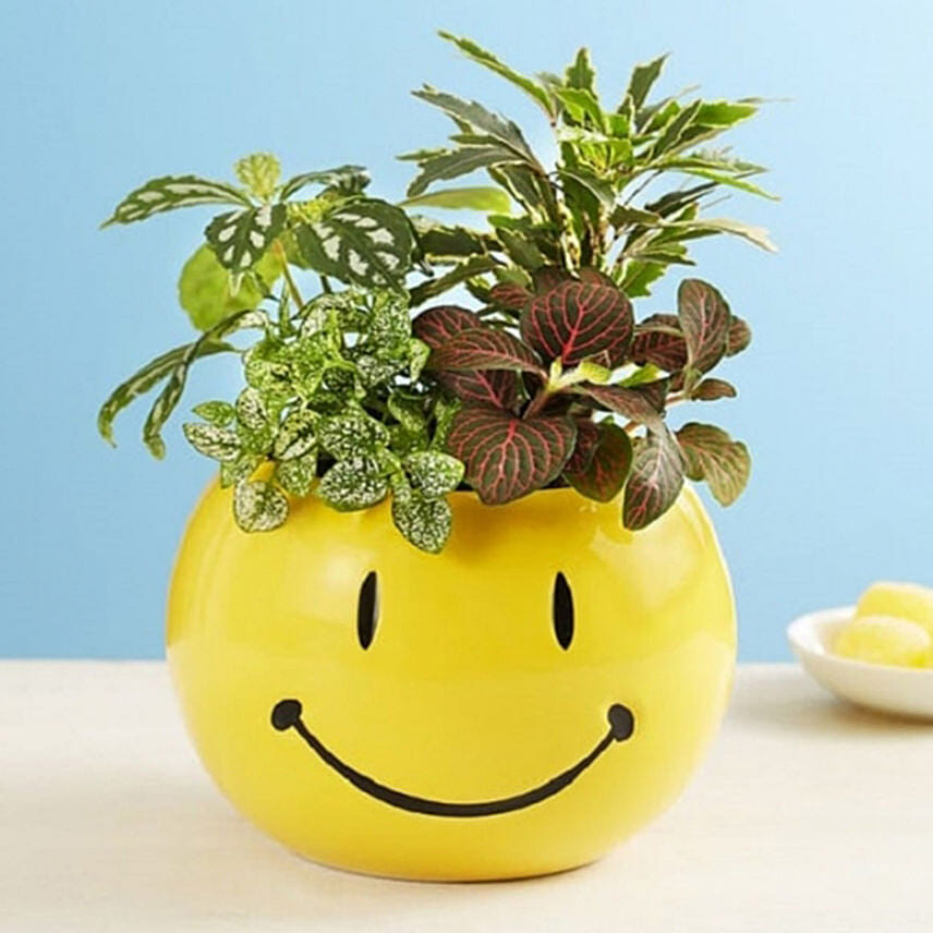 Smiley Dish Garden