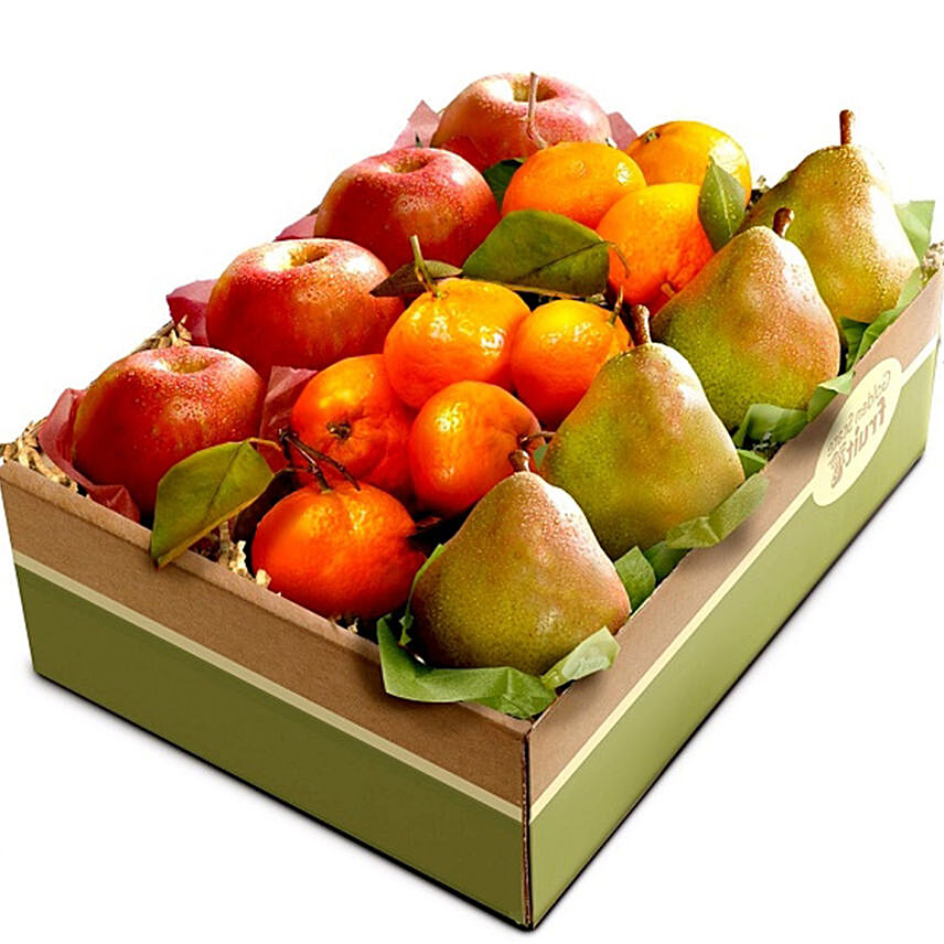 Trio Fruit Basket