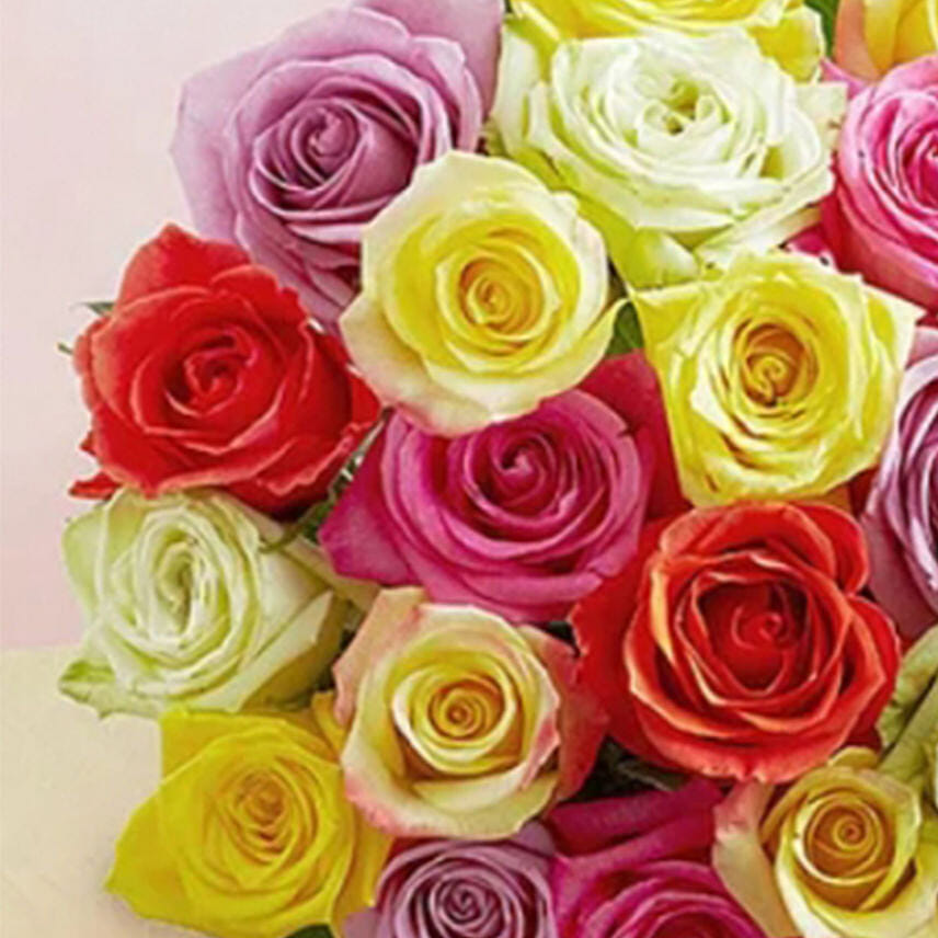 24 Mixed Roses