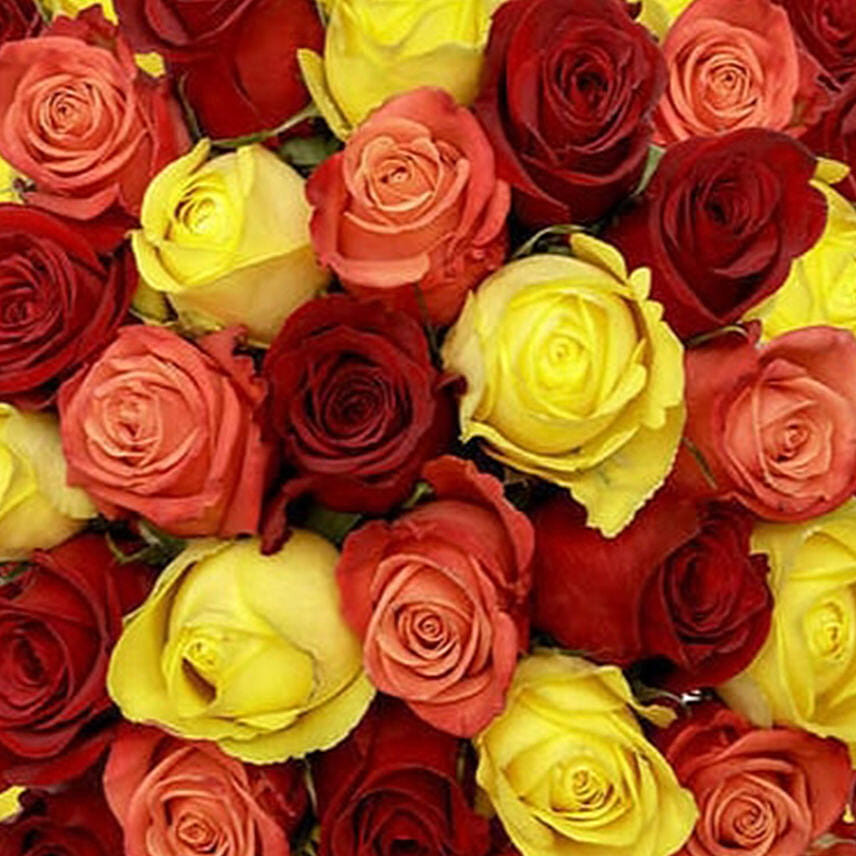 50 Red Orange & Yellow Roses