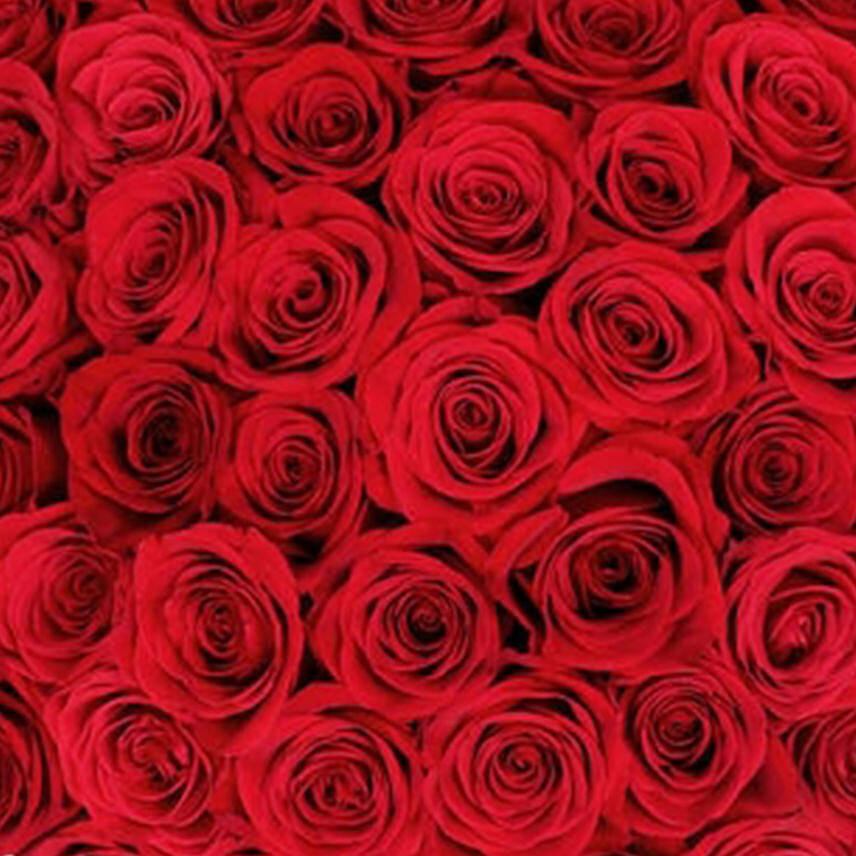 50 Red Roses