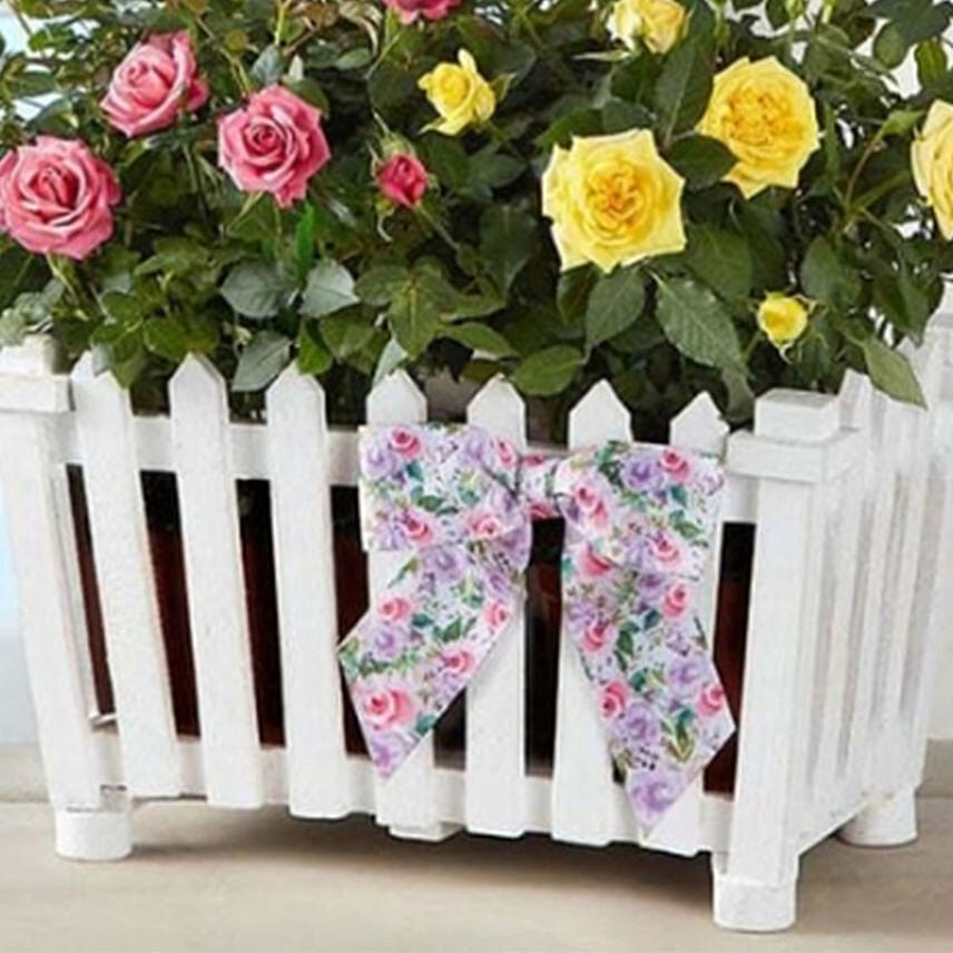 Charming Rose Garden