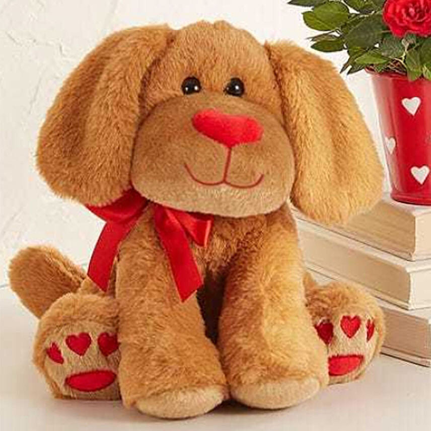 Lovable Pup