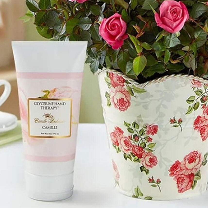 Pamper With Rose