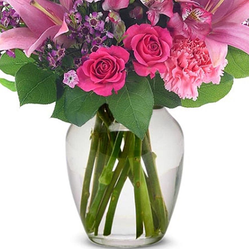 Pink Posy