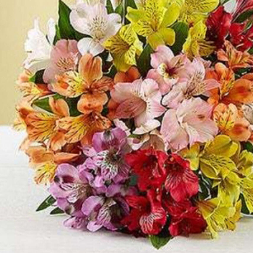 Rainbow Lily Bouquet
