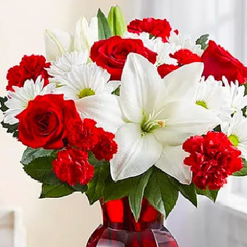 Red & White Delight