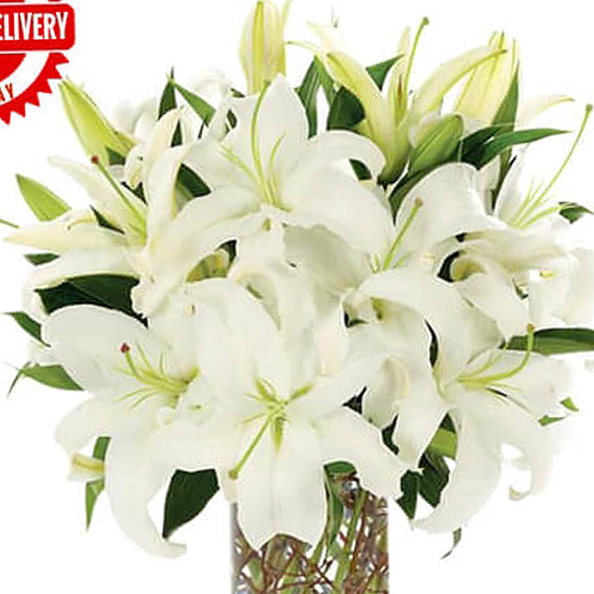 Simply White