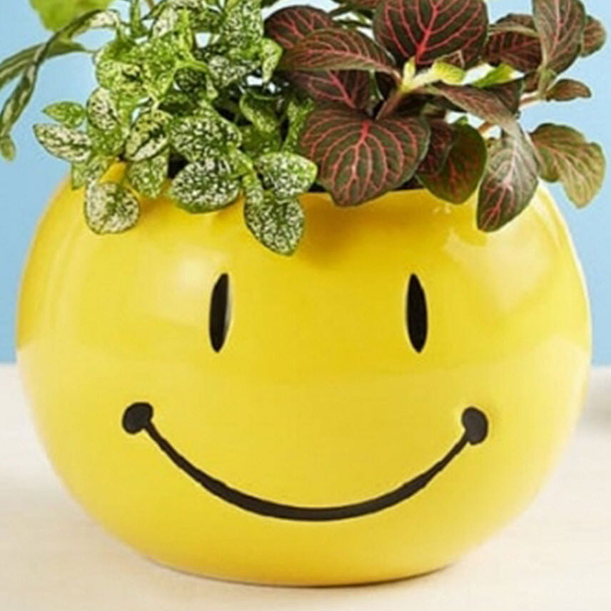 Smiley Dish Garden