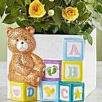 Baby Blocks Playtime Roses