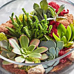 Glass Succulent Terrarium