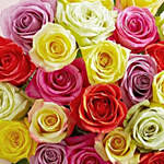 24 Mixed Roses