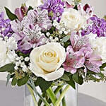Lovely Lavendar
