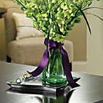 Outrageous Orchids