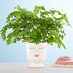 Maiden Hair Fern