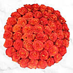 50 Stems Of Bicolor Orange Rose