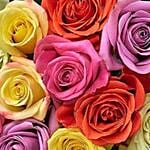 Assorted Roses