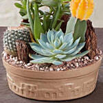 Cactus Dish Garden