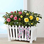 Charming Rose Garden