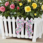 Charming Rose Garden