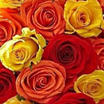 Colorful Rose Bouquet