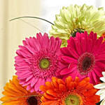 Gerbera Bouquet