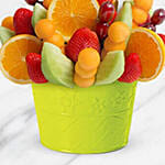 Orange Citrus Blossom