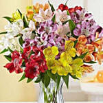 Peruvian Lilies In Vase