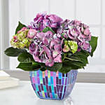 Purple Hydrangea In Mosaic Planter