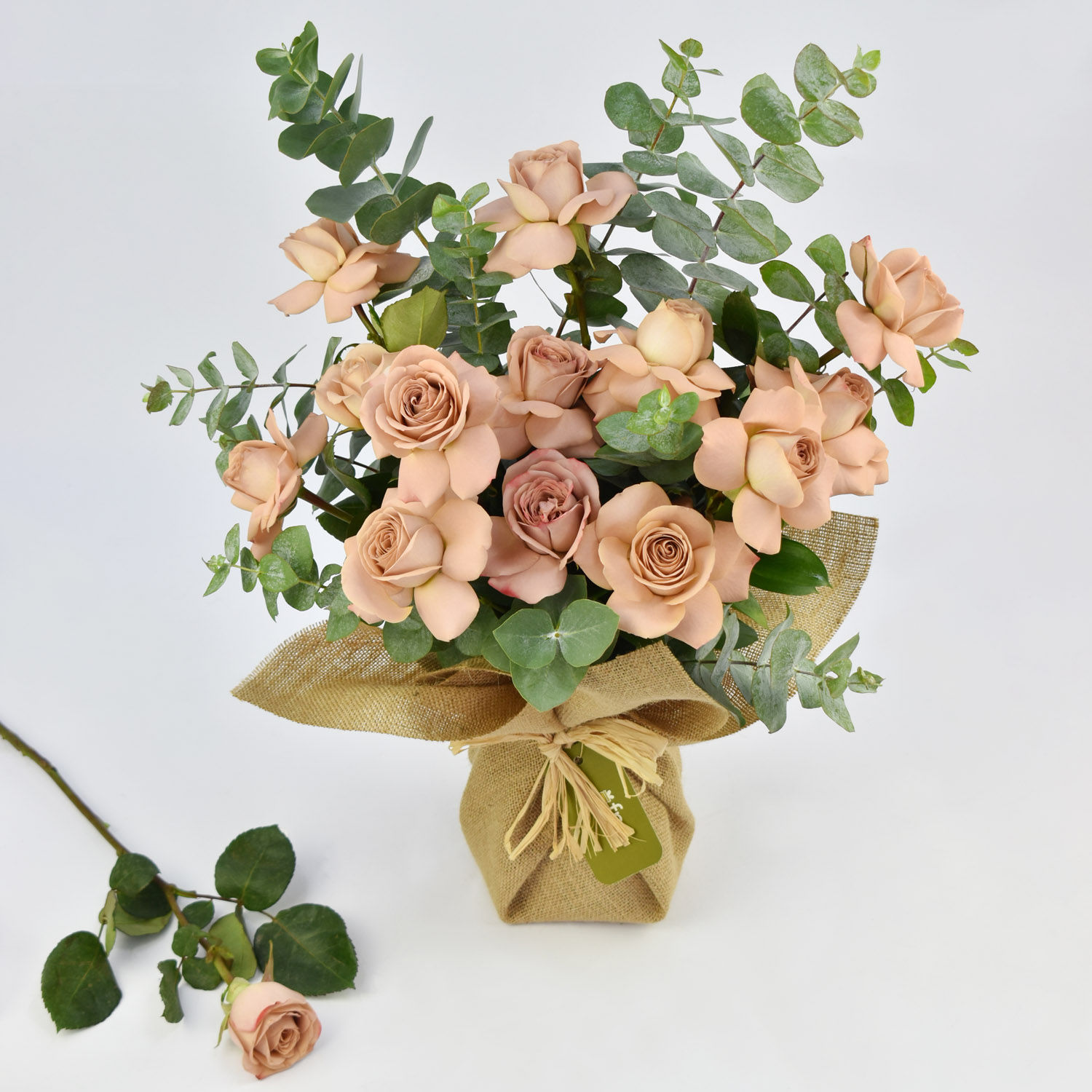 Order 12 Cappuccino Roses Bouquet Online | Same-Day Delivery UAE - Fnp.ae