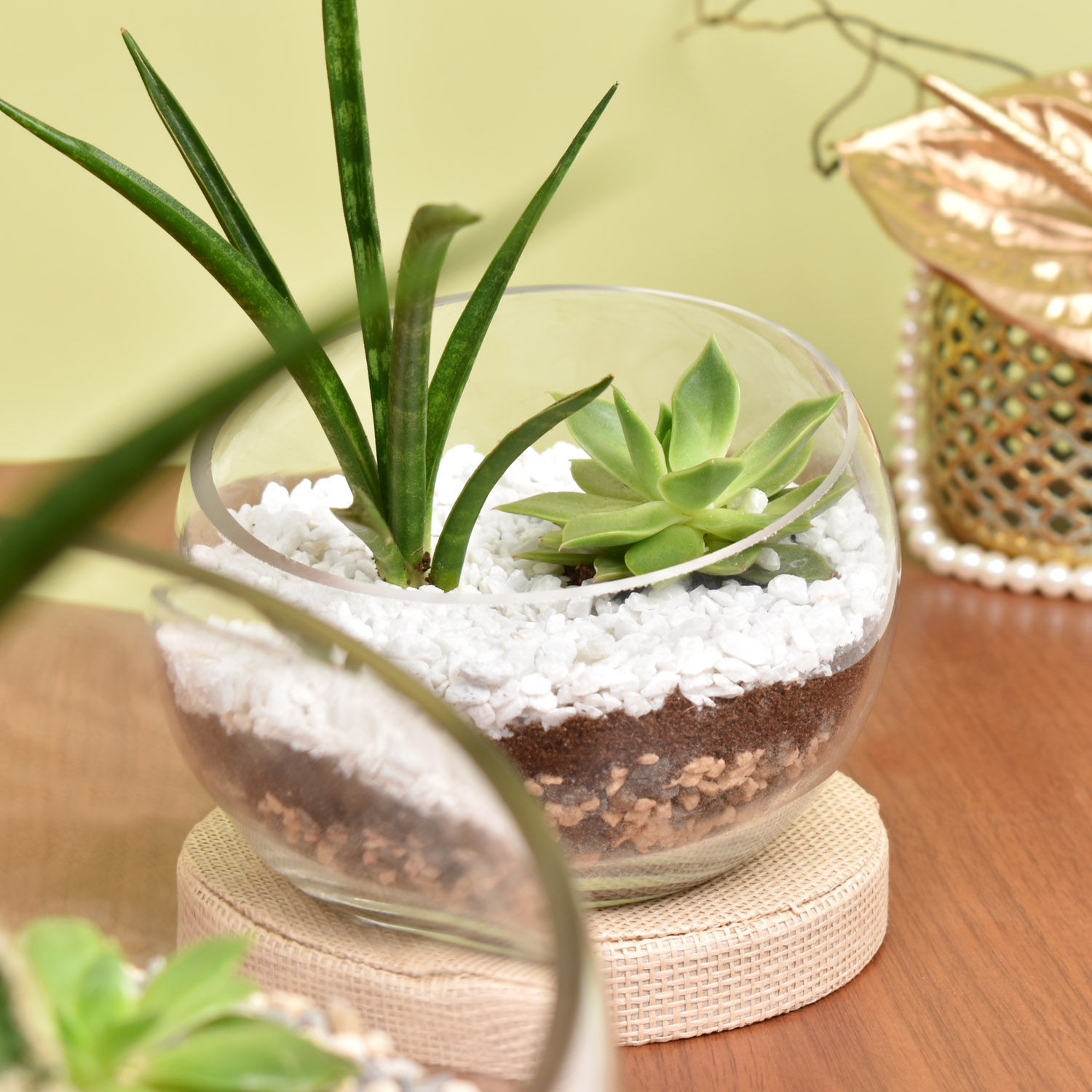 Online Set of 2 Terrarium Gift Delivery in UAE FNP