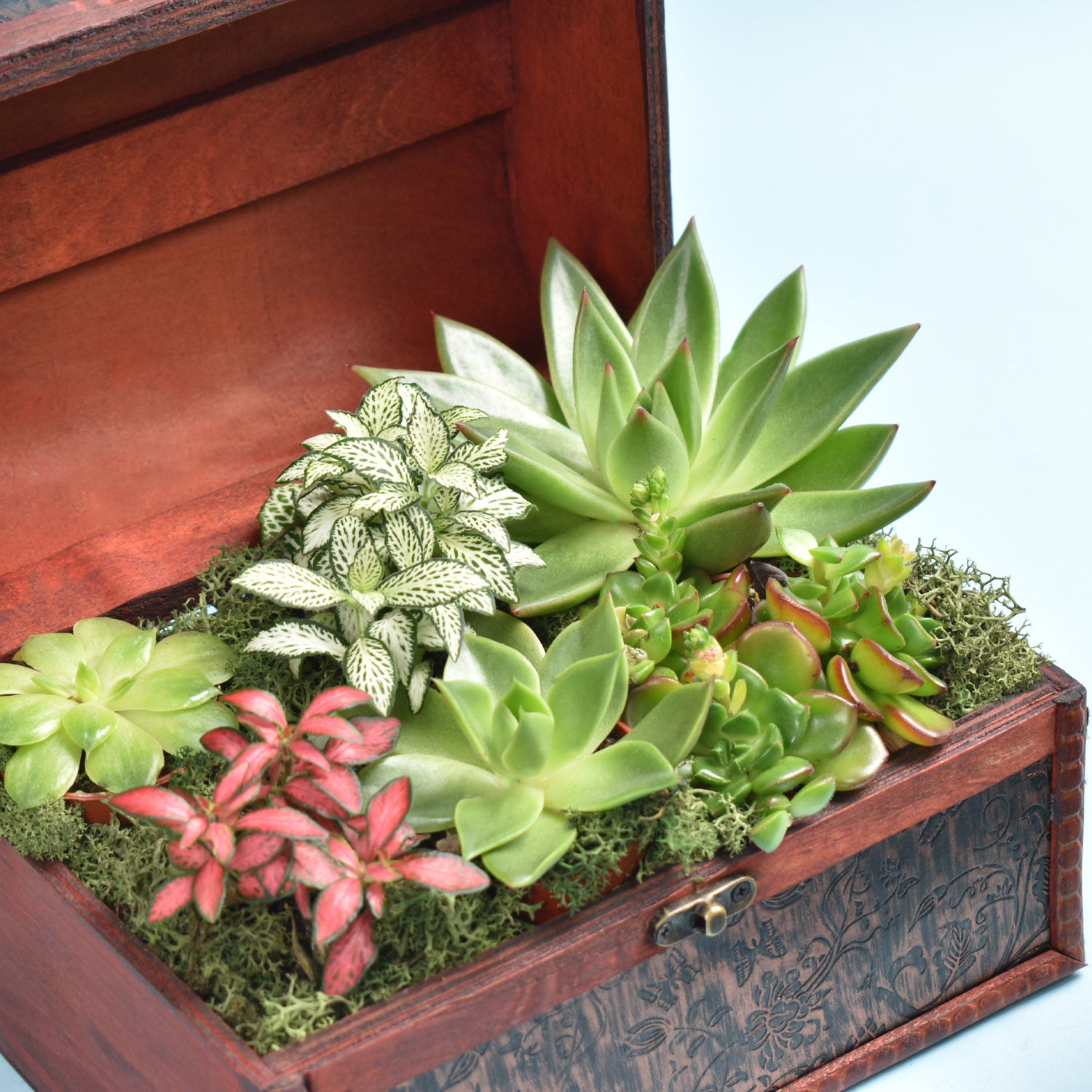 Order Garden Treasure Box With Cake Online | Same-Day Delivery UAE - Fnp.ae