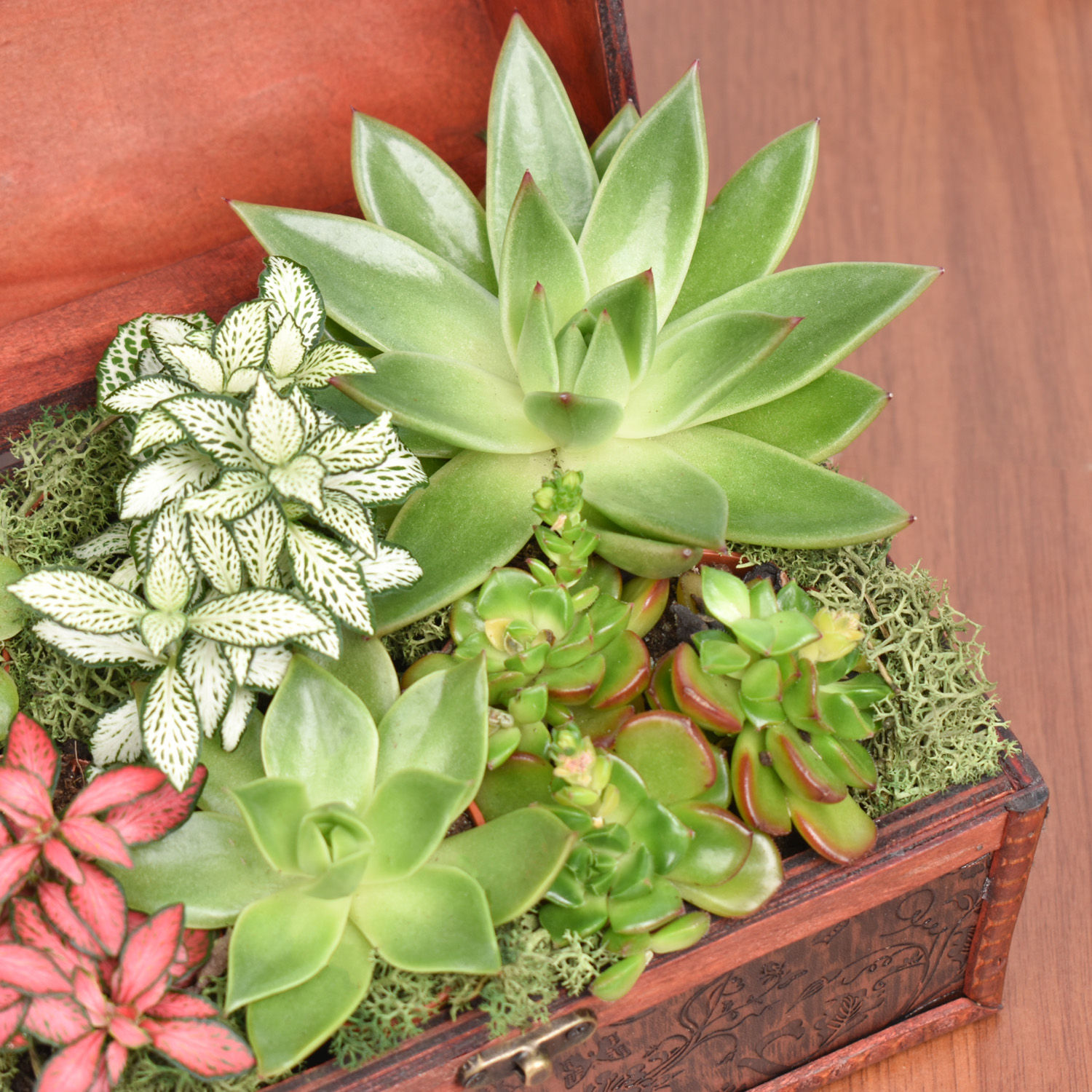 Order Garden Treasure Box Online | Same-Day Delivery UAE - Fnp.ae