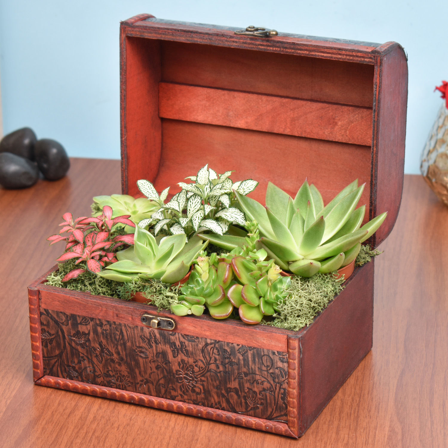 Order Garden Treasure Box Online | Same-Day Delivery UAE - Fnp.ae