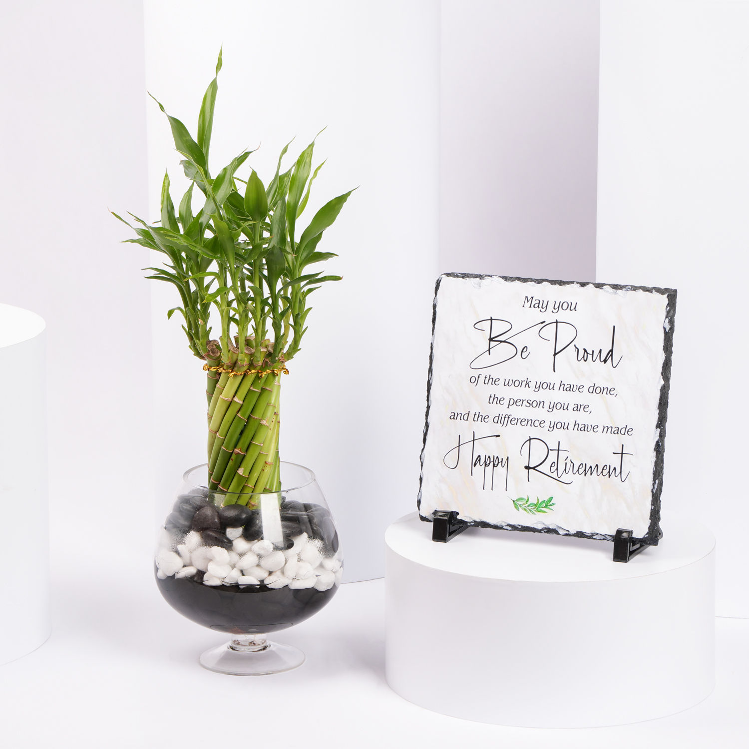 Online Sprial Lucky Bamboo with Retirement Wishes Gift Delivery in UAE