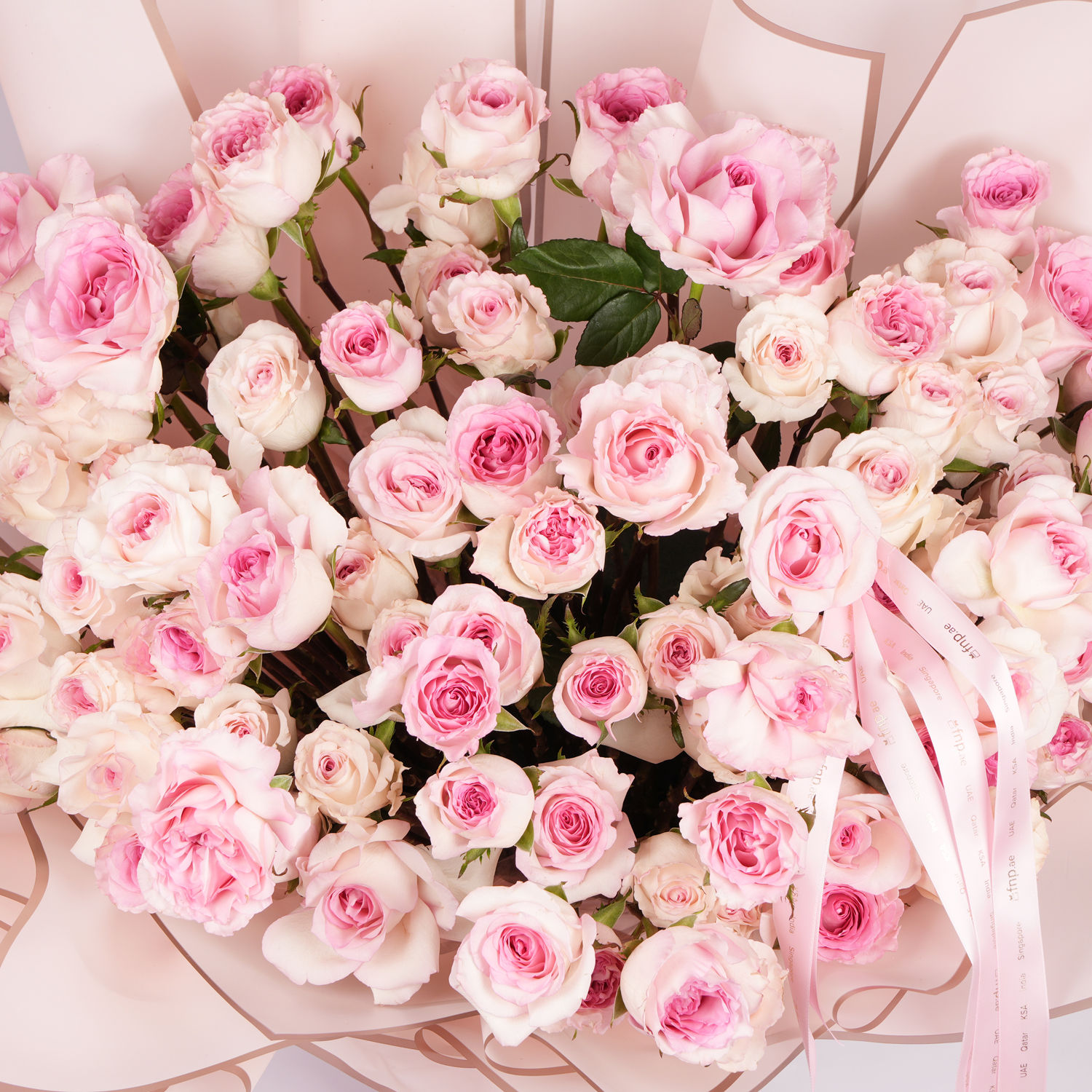 Order 100 Pink Roses Bouquet Online